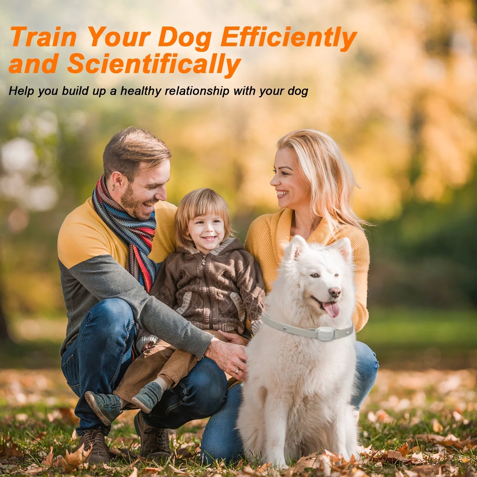 Dog Training Collar with Remote: Beep, Vibration, Safe Shock, Rechargeable, Waterproof, Fits Small to Large Dogs.